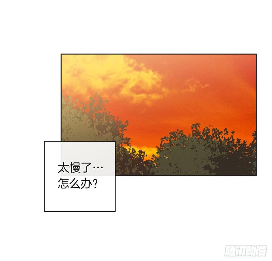 皇帝的伴侣韩漫全集-38.怎么能拿圣下当诱饵？无删减无遮挡章节图片 