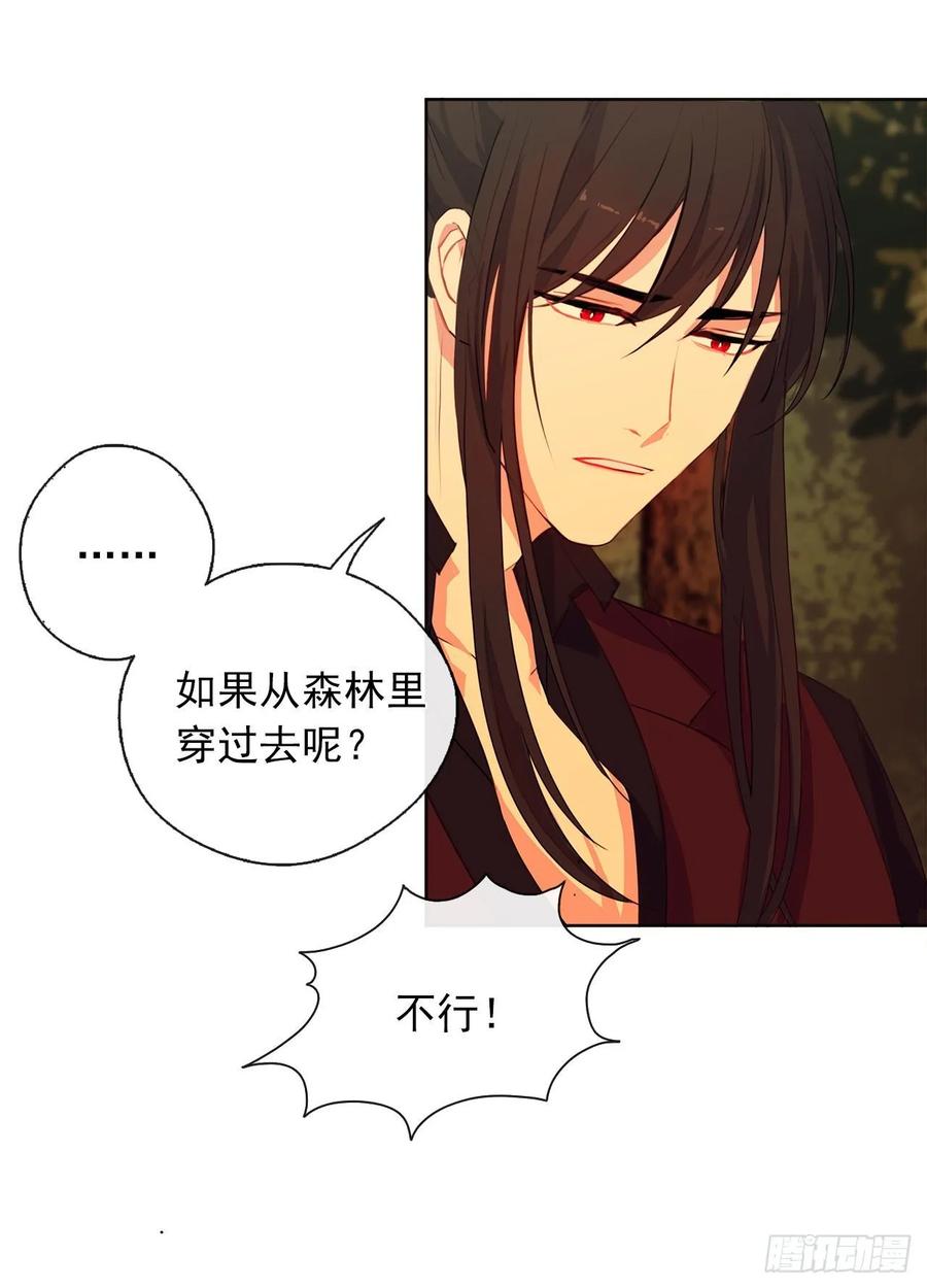 皇帝的伴侣韩漫全集-38.怎么能拿圣下当诱饵？无删减无遮挡章节图片 