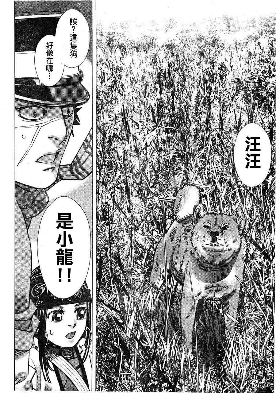 黄金神威韩漫全集-第111话无删减无遮挡章节图片 