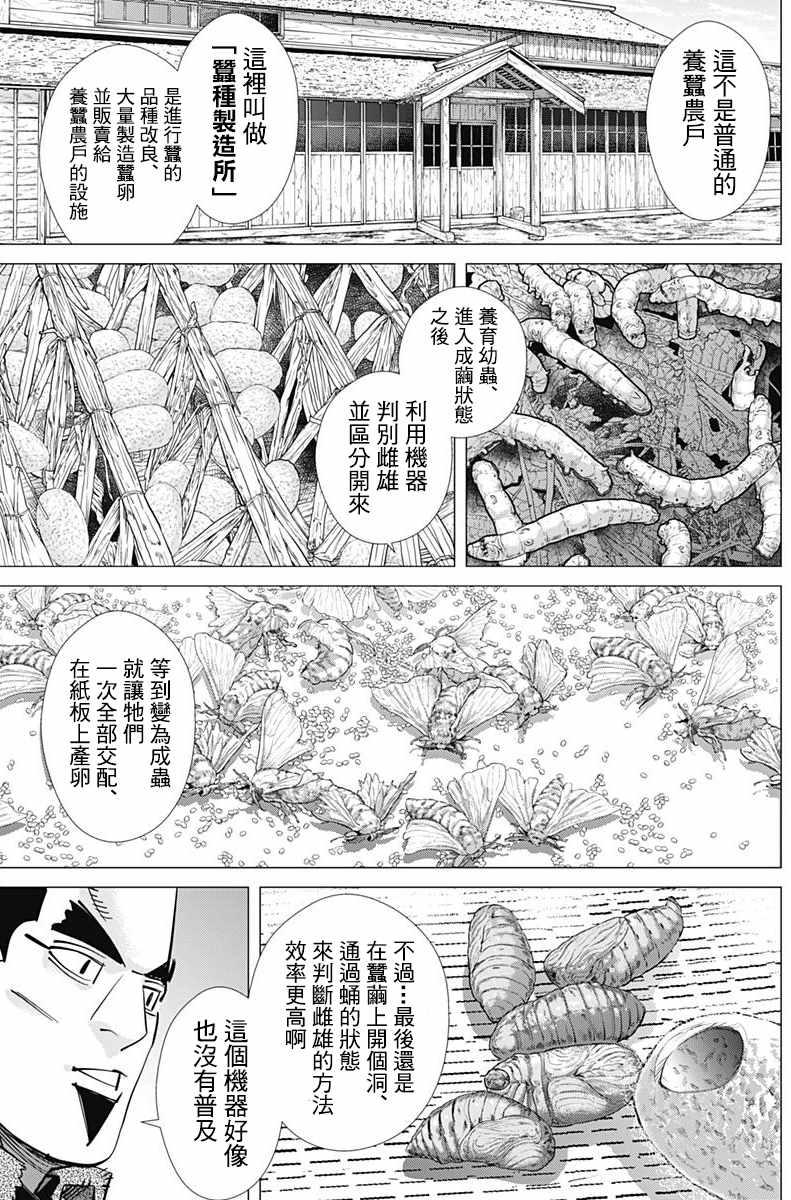 黄金神威韩漫全集-第175话无删减无遮挡章节图片 
