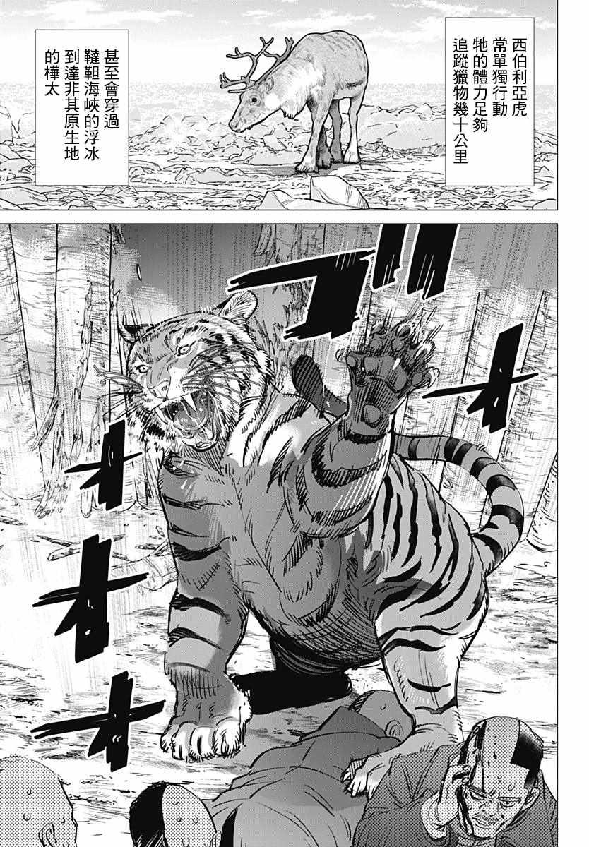 黄金神威韩漫全集-第181话无删减无遮挡章节图片 