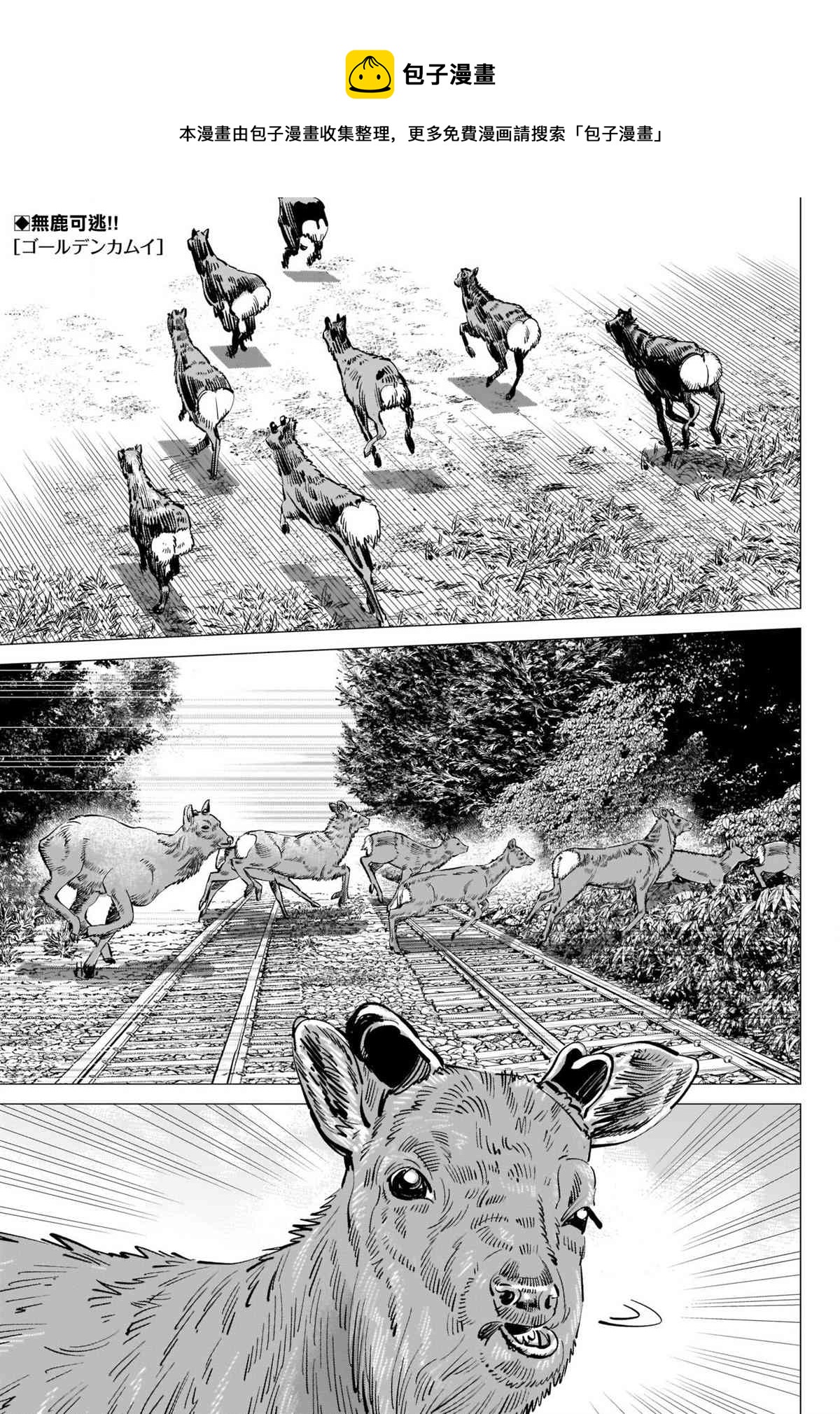 黄金神威韩漫全集-第303话 暴走列车无删减无遮挡章节图片 