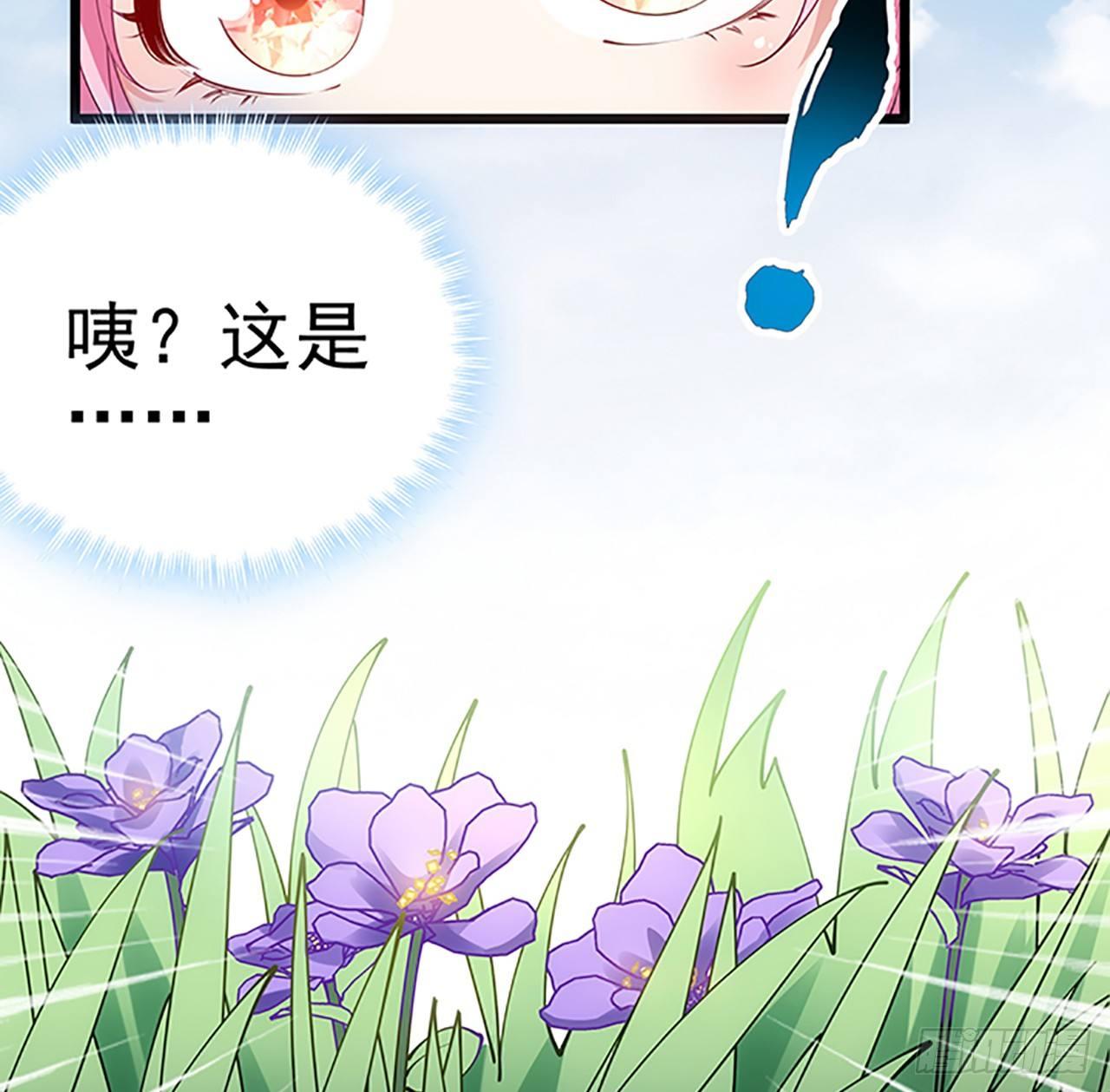 皇女的生存法则韩漫全集-1话 穿越成冷宫皇女无删减无遮挡章节图片 