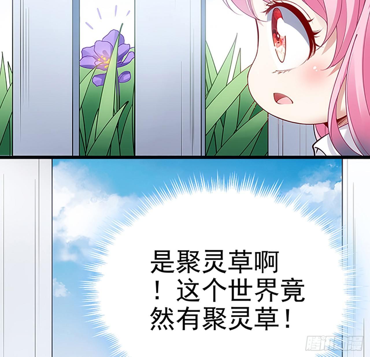 皇女的生存法则韩漫全集-1话 穿越成冷宫皇女无删减无遮挡章节图片 