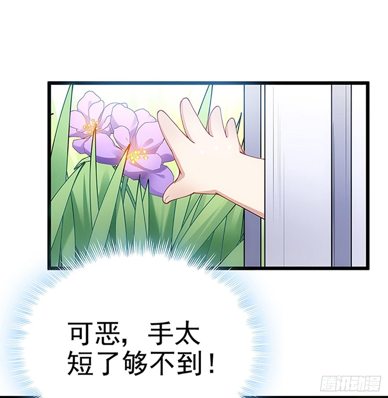 皇女的生存法则韩漫全集-1话 穿越成冷宫皇女无删减无遮挡章节图片 