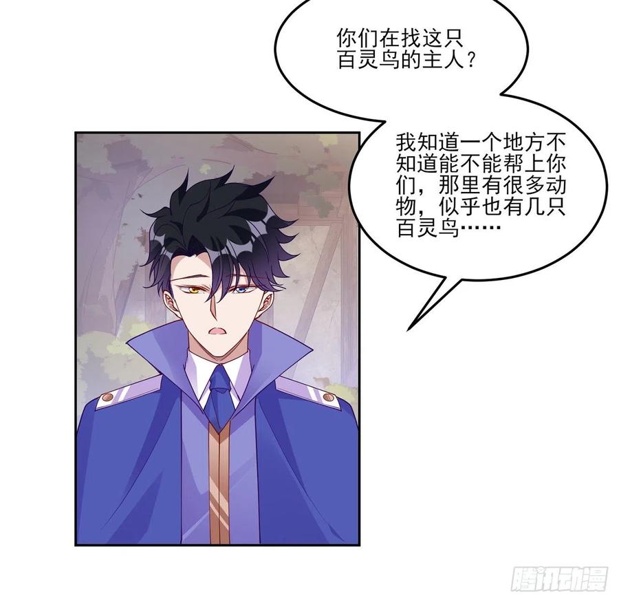 皇女的生存法则韩漫全集-136话 寻鸟三人组无删减无遮挡章节图片 