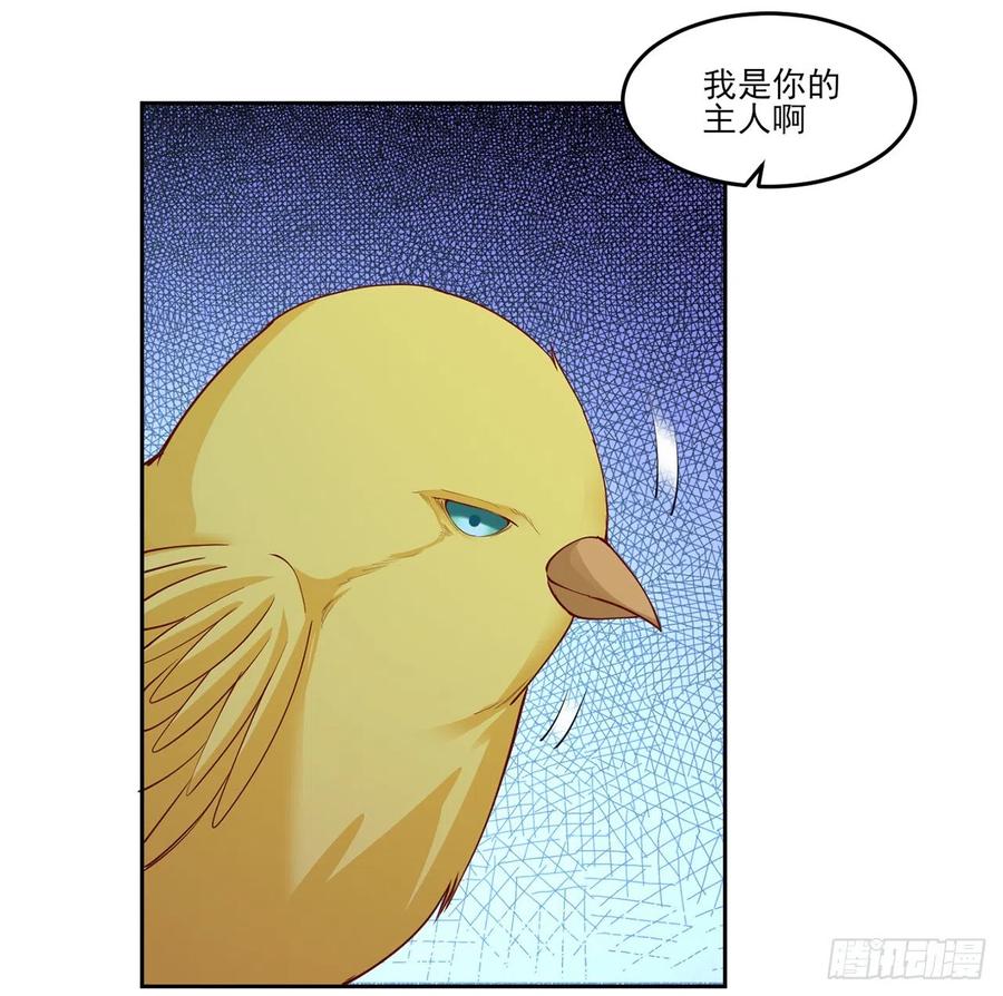 皇女的生存法则韩漫全集-137话 收获意外线索无删减无遮挡章节图片 