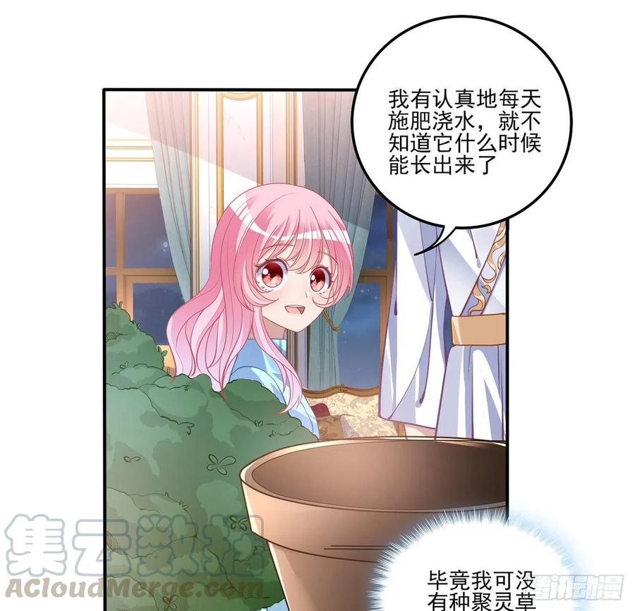 皇女的生存法则韩漫全集-65话 聚灵草竟是母妃的？无删减无遮挡章节图片 