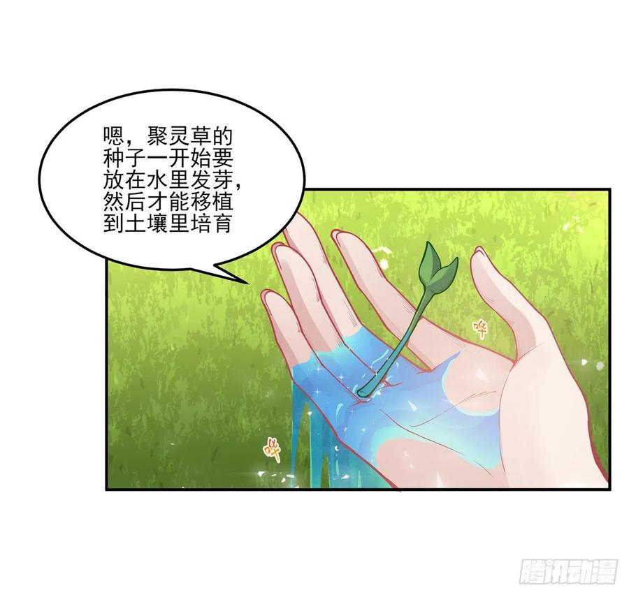 皇女的生存法则韩漫全集-66话 爸爸与妈妈的相遇无删减无遮挡章节图片 