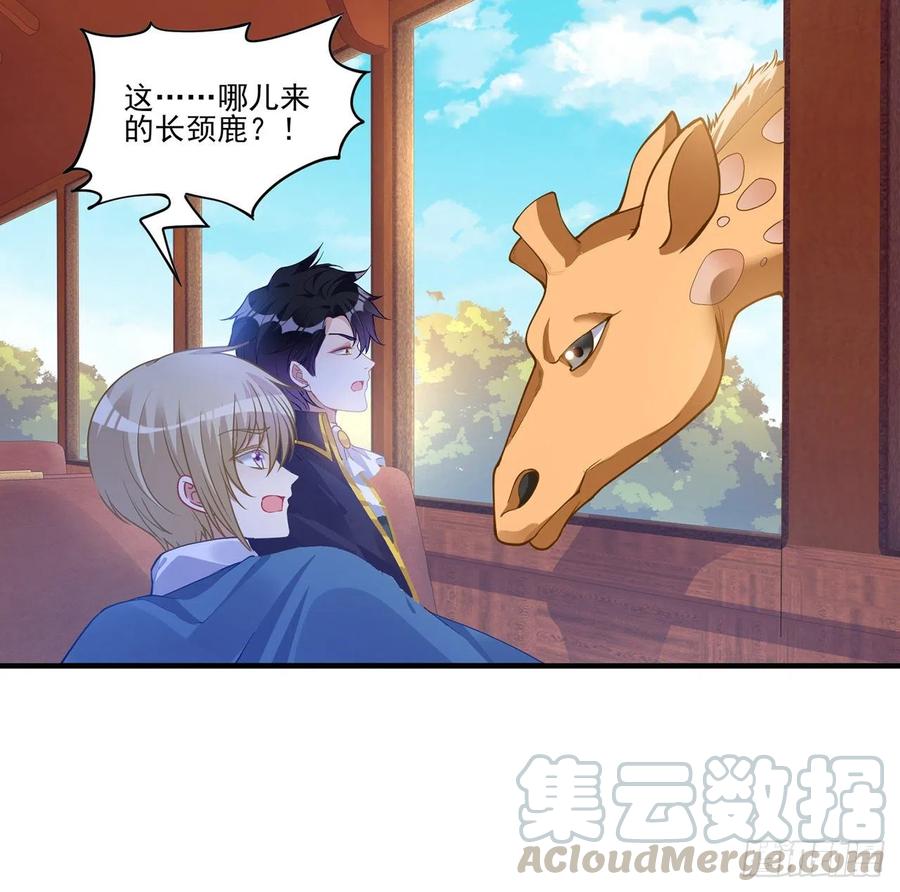 皇女的生存法则韩漫全集-77话 壕无人性的安琪拉无删减无遮挡章节图片 
