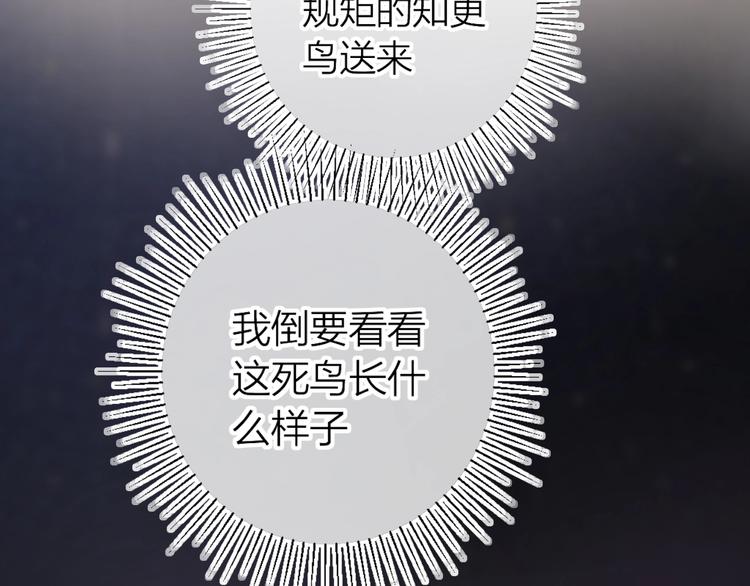 花与隐匿之乌韩漫全集-第45话 选择无删减无遮挡章节图片 