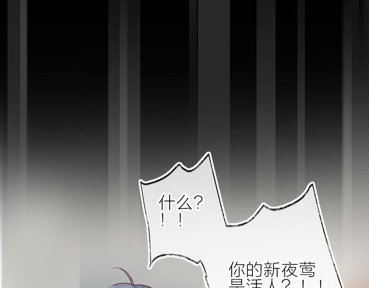 花与隐匿之乌韩漫全集-第74话 放鸽子的原因无删减无遮挡章节图片 