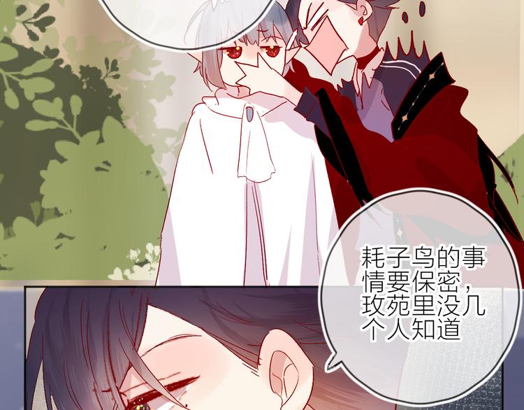 花与隐匿之乌韩漫全集-第74话 放鸽子的原因无删减无遮挡章节图片 