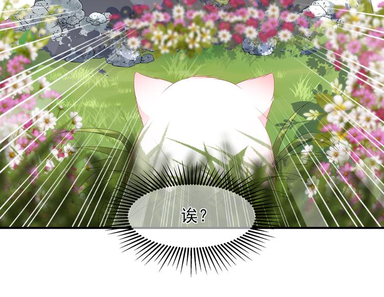 狐妃，别惹火韩漫全集-第10话 招惹祸端无删减无遮挡章节图片 