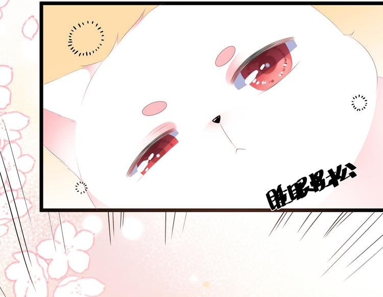 狐妃，别惹火韩漫全集-第24话 主仆互怜无删减无遮挡章节图片 