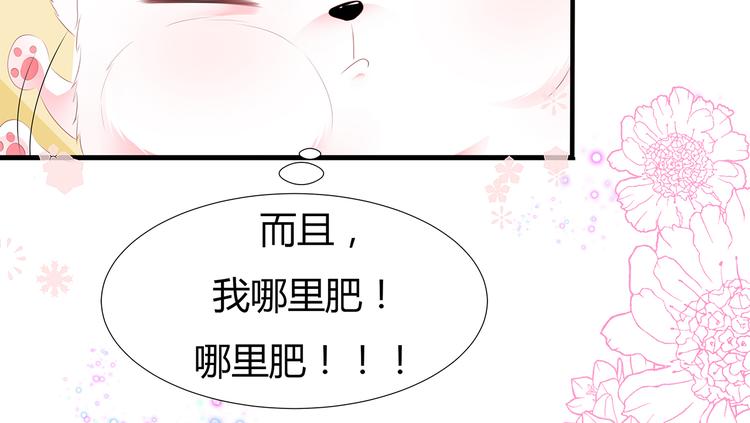 狐妃，别惹火韩漫全集-第29话 美人身世无删减无遮挡章节图片 