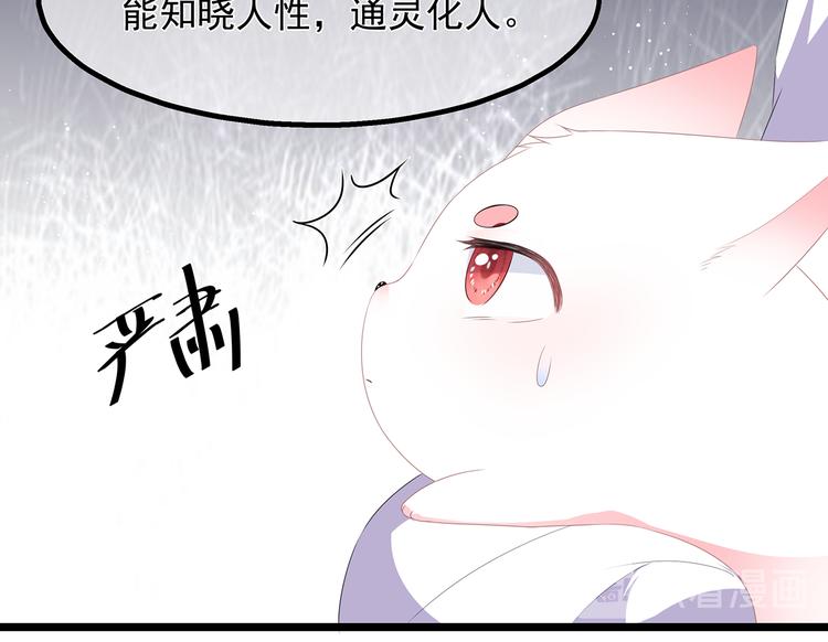 狐妃，别惹火韩漫全集-第32话 一曲《灵狐灵》无删减无遮挡章节图片 