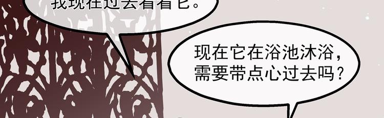 狐妃，别惹火韩漫全集-第33话 你说我好不好看无删减无遮挡章节图片 