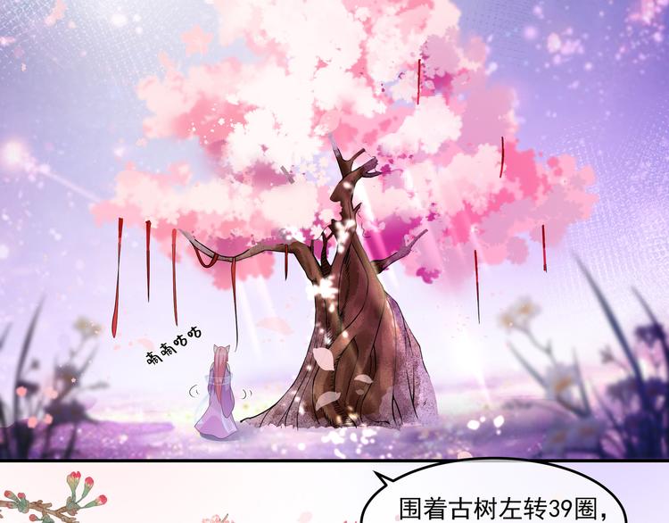 狐妃，别惹火韩漫全集-番外篇 清希、千城，欢迎回家！无删减无遮挡章节图片 