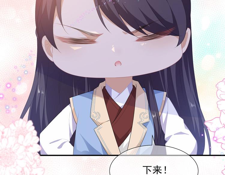 狐妃，别惹火韩漫全集-第4话 萌宠生涯无删减无遮挡章节图片 