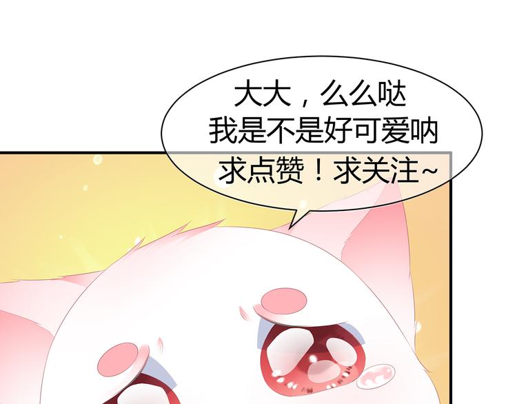 狐妃，别惹火韩漫全集-第4话 萌宠生涯无删减无遮挡章节图片 