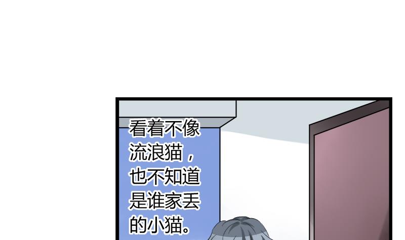 灰姑娘的阴谋韩漫全集-第75话 猫少女无删减无遮挡章节图片 