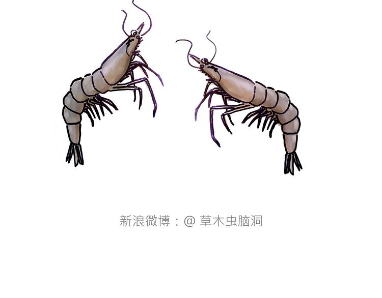 绘心一笑韩漫全集-抢被子无删减无遮挡章节图片 