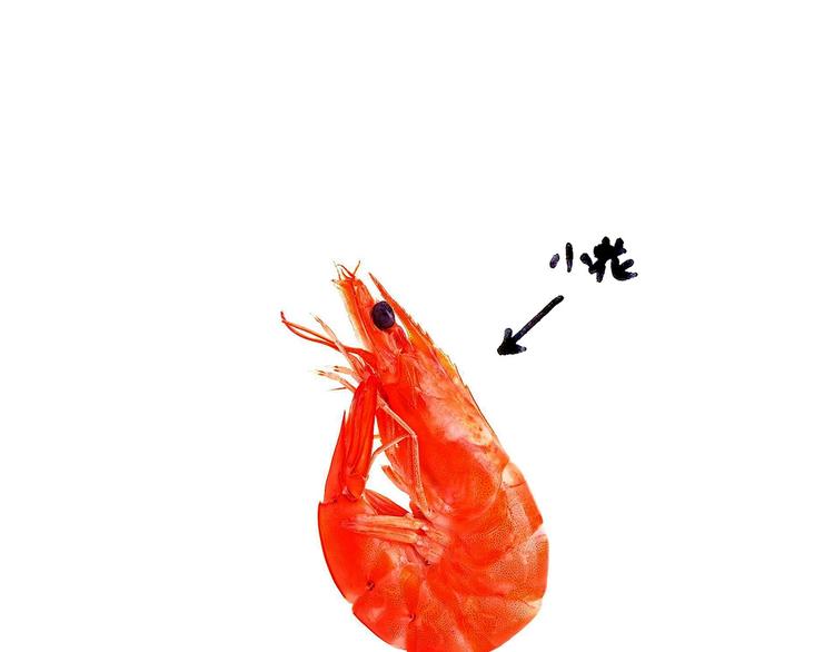 绘心一笑韩漫全集-抢被子无删减无遮挡章节图片 