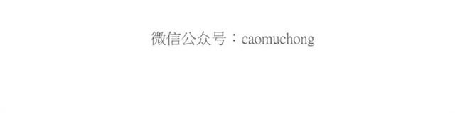 绘心一笑韩漫全集-师傅的APP无删减无遮挡章节图片 