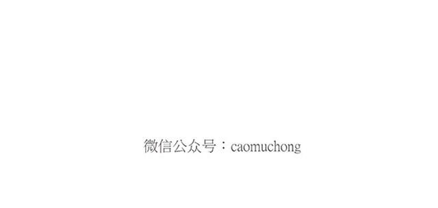 绘心一笑韩漫全集-师傅弹钢琴无删减无遮挡章节图片 