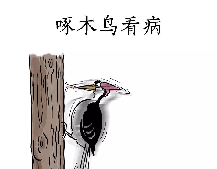绘心一笑韩漫全集-啄木鸟看病无删减无遮挡章节图片 
