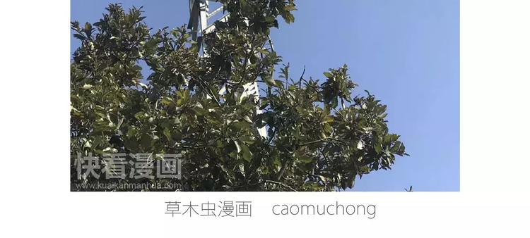 绘心一笑韩漫全集-企鹅搬便画无删减无遮挡章节图片 