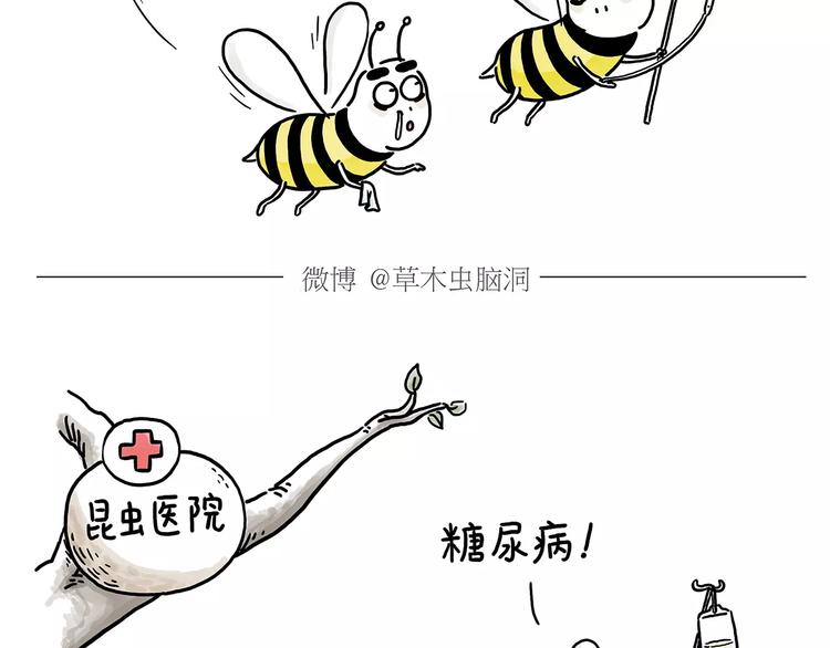 绘心一笑韩漫全集-第152话  苹果鸟？？？无删减无遮挡章节图片 