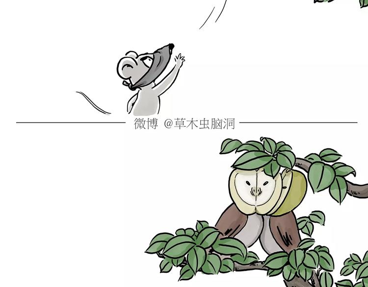 绘心一笑韩漫全集-第152话  苹果鸟？？？无删减无遮挡章节图片 