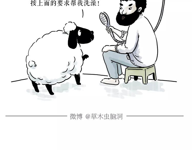 绘心一笑韩漫全集-第157话  洗羊说明书无删减无遮挡章节图片 