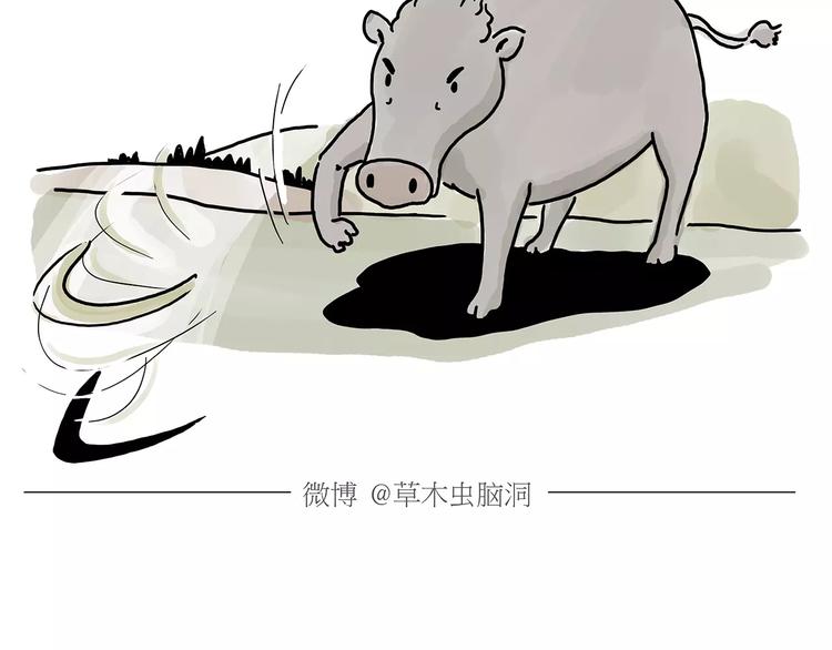绘心一笑韩漫全集-第157话  洗羊说明书无删减无遮挡章节图片 