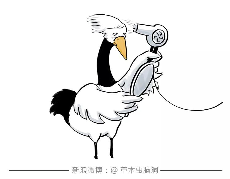 绘心一笑韩漫全集-第162话  化妆无删减无遮挡章节图片 