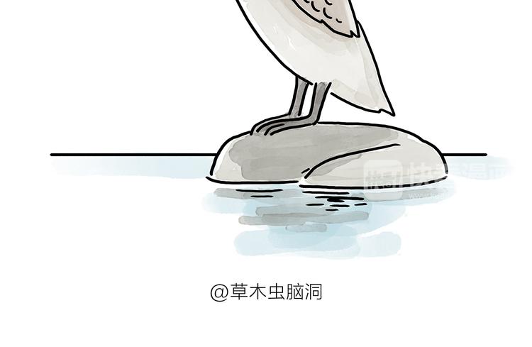 绘心一笑韩漫全集-第176话 筋斗云加油无删减无遮挡章节图片 