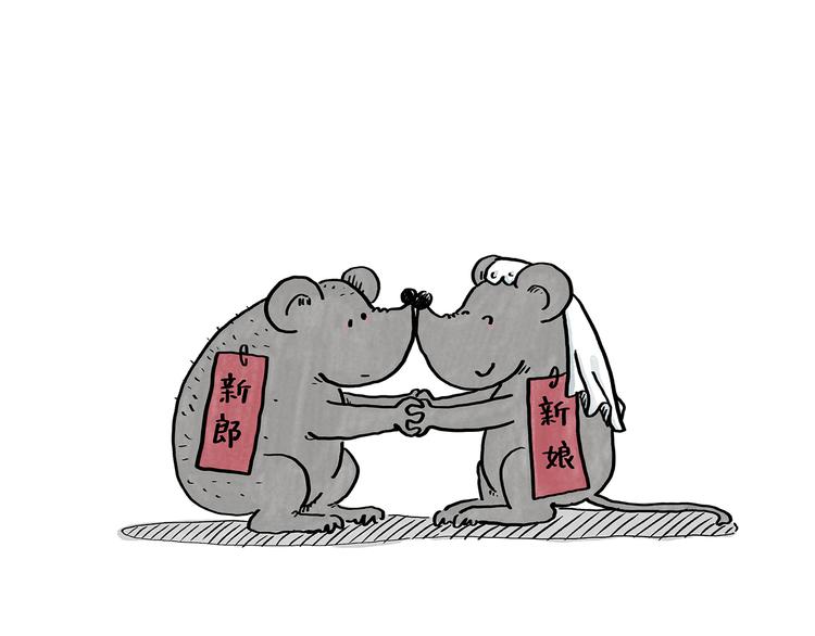 绘心一笑韩漫全集-第185话 大猪蹄子无删减无遮挡章节图片 