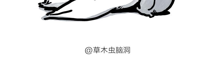 绘心一笑韩漫全集-第187话 骆驼相亲无删减无遮挡章节图片 