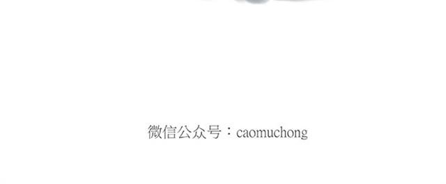 绘心一笑韩漫全集-师傅赛龙舟无删减无遮挡章节图片 