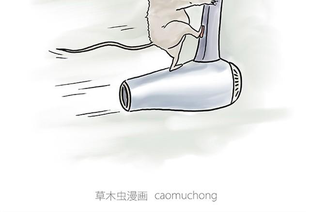 绘心一笑韩漫全集-师傅潜水无删减无遮挡章节图片 