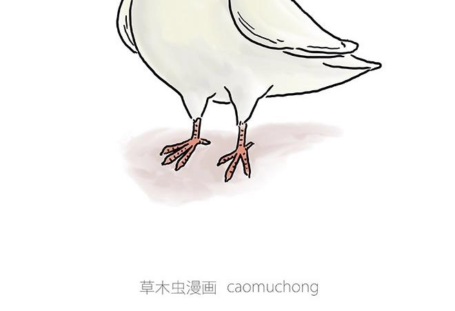 绘心一笑韩漫全集-师傅的茶道无删减无遮挡章节图片 