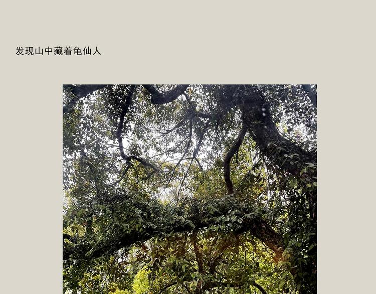 绘心一笑韩漫全集-第323话 香蕉认错女朋友无删减无遮挡章节图片 