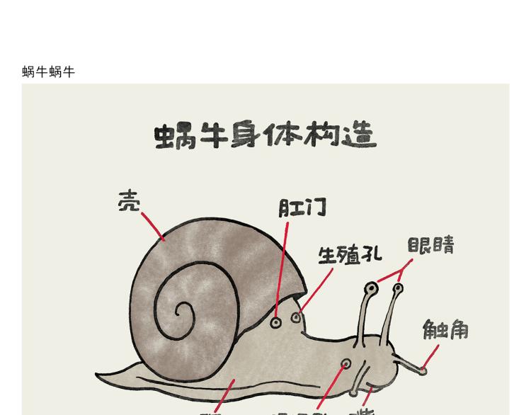 绘心一笑韩漫全集-第346话 脸上掉下个取经人无删减无遮挡章节图片 