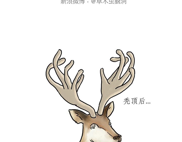 绘心一笑韩漫全集-师傅抢红包无删减无遮挡章节图片 