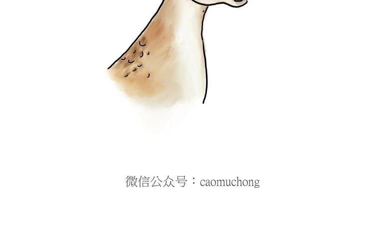 绘心一笑韩漫全集-师傅抢红包无删减无遮挡章节图片 