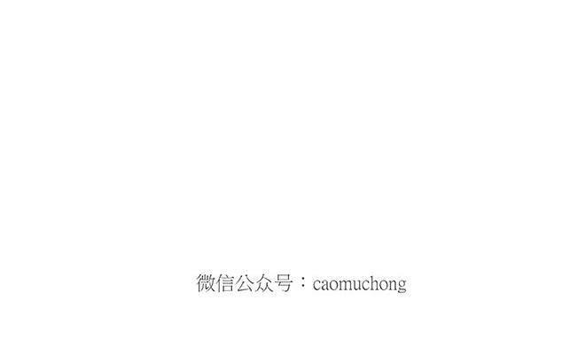 绘心一笑韩漫全集-鸡打台球无删减无遮挡章节图片 
