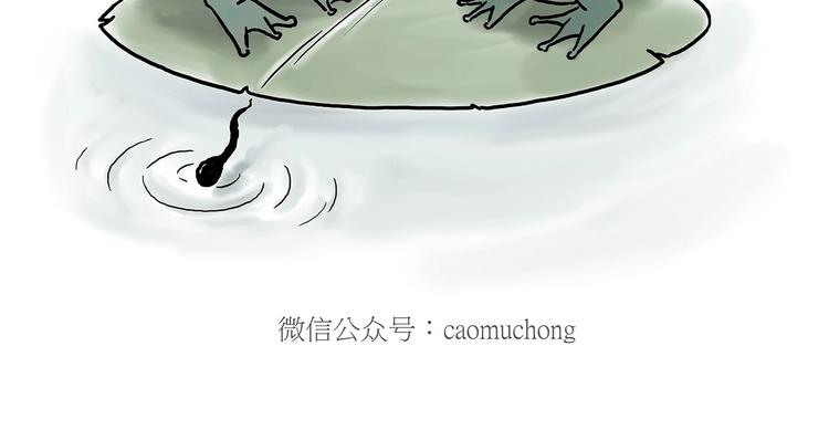 绘心一笑韩漫全集-鸡打台球无删减无遮挡章节图片 