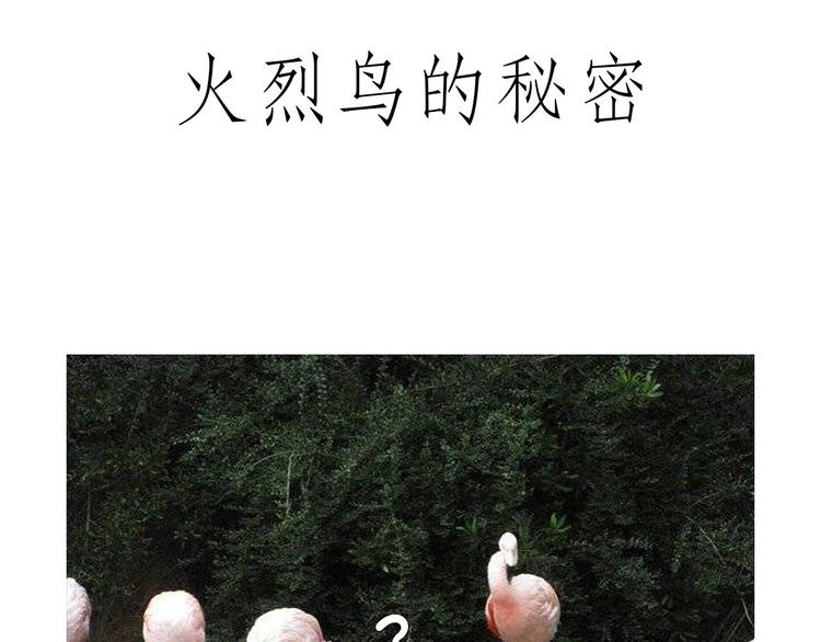 绘心一笑韩漫全集-斗舞无删减无遮挡章节图片 